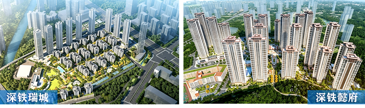 一纸褒奖，一份殊荣：是认可，更是笃行奋进的动力(图4)